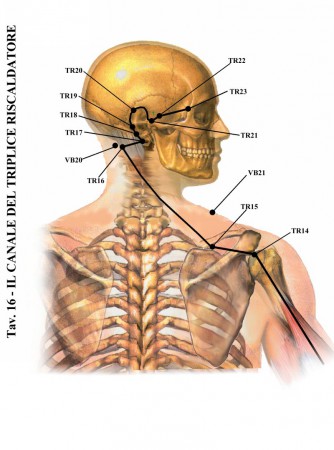 (immagini tratte da www.kyusho.it)